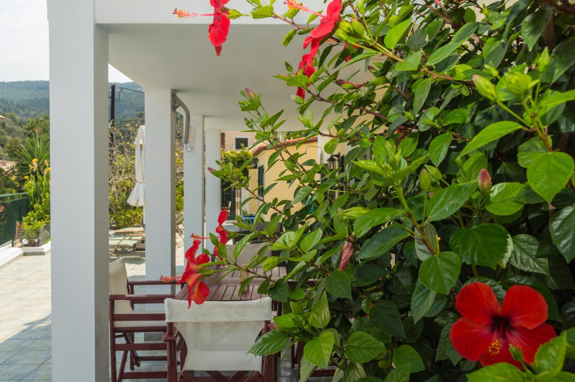 Dionos Villa Ásos Exterior foto